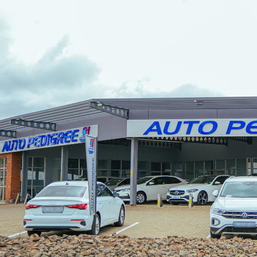 Auto Pedigree Secunda