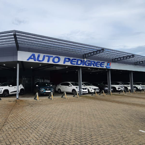 Auto Pedigree Secunda